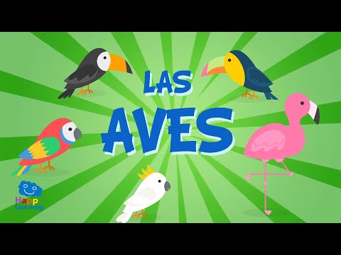 Avestruces de tres dedos: Todo lo que debes saber sobre estas fascinantes aves