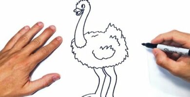 Dibujos de avestruces fáciles: aprende a dibujar estas aves en simples pasos