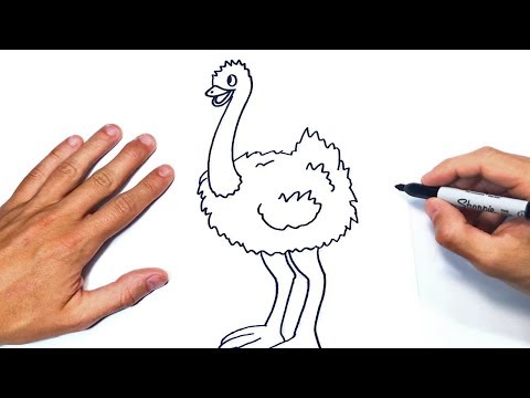 Dibujos de avestruces fáciles: aprende a dibujar estas aves en simples pasos