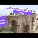 Descubre las maravillas de las avestruces en Ronda