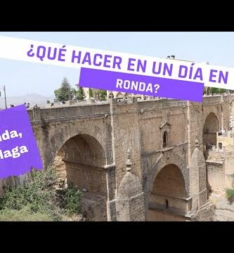 Descubre las maravillas de las avestruces en Ronda