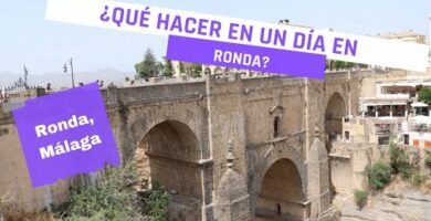 Descubre las maravillas de las avestruces en Ronda