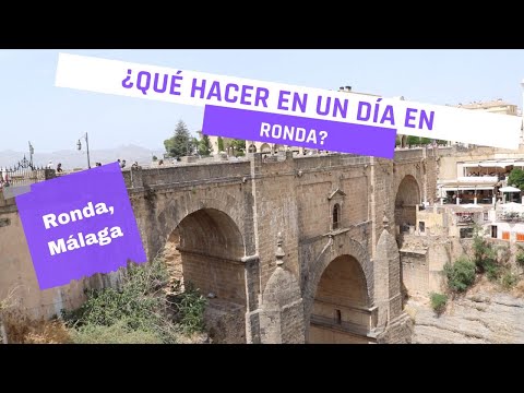 Descubre las maravillas de las avestruces en Ronda